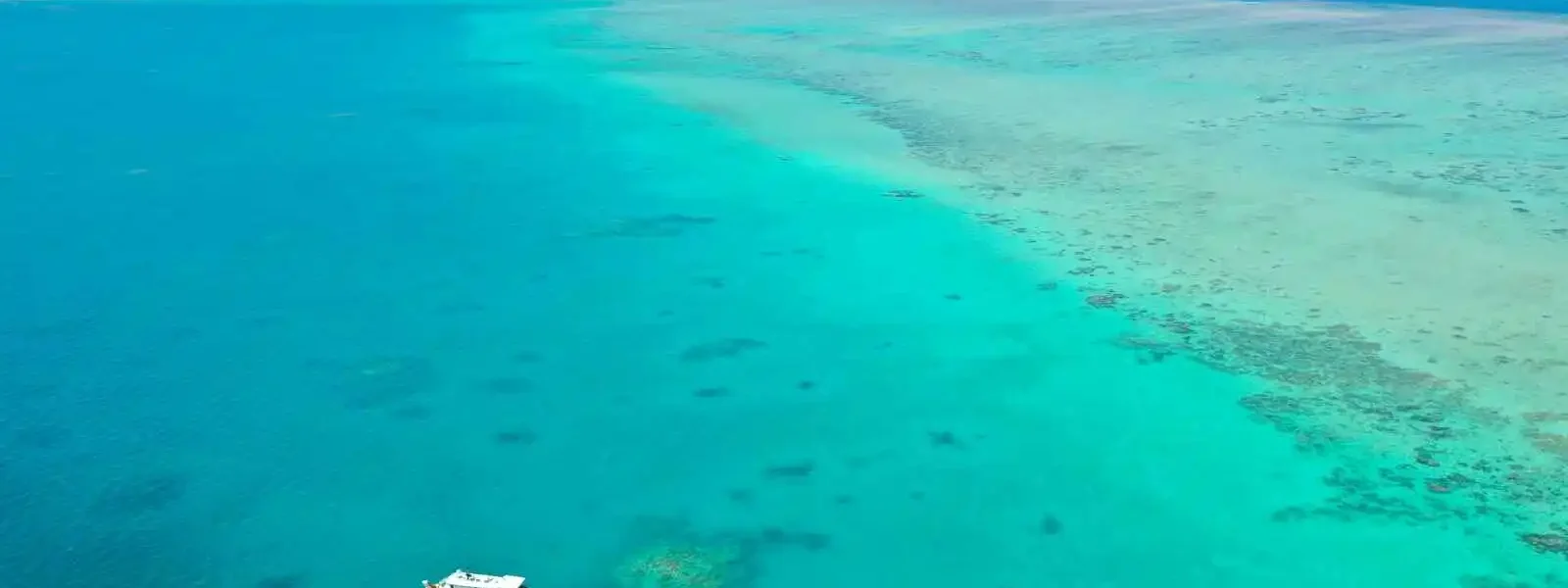 Grande Barrière de Corail, Michaelmas Cay Queensland