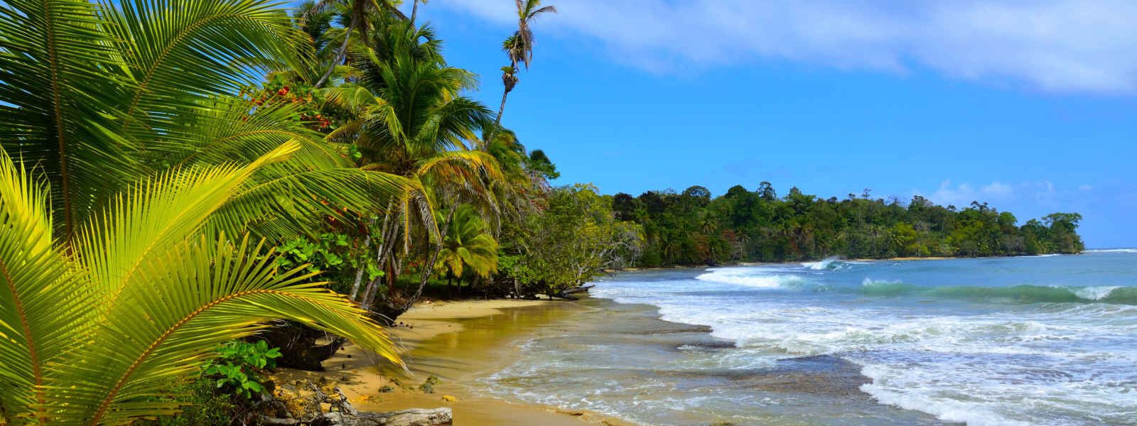 Plage Sauvage, Boca Del Toro, Panama City, Panama