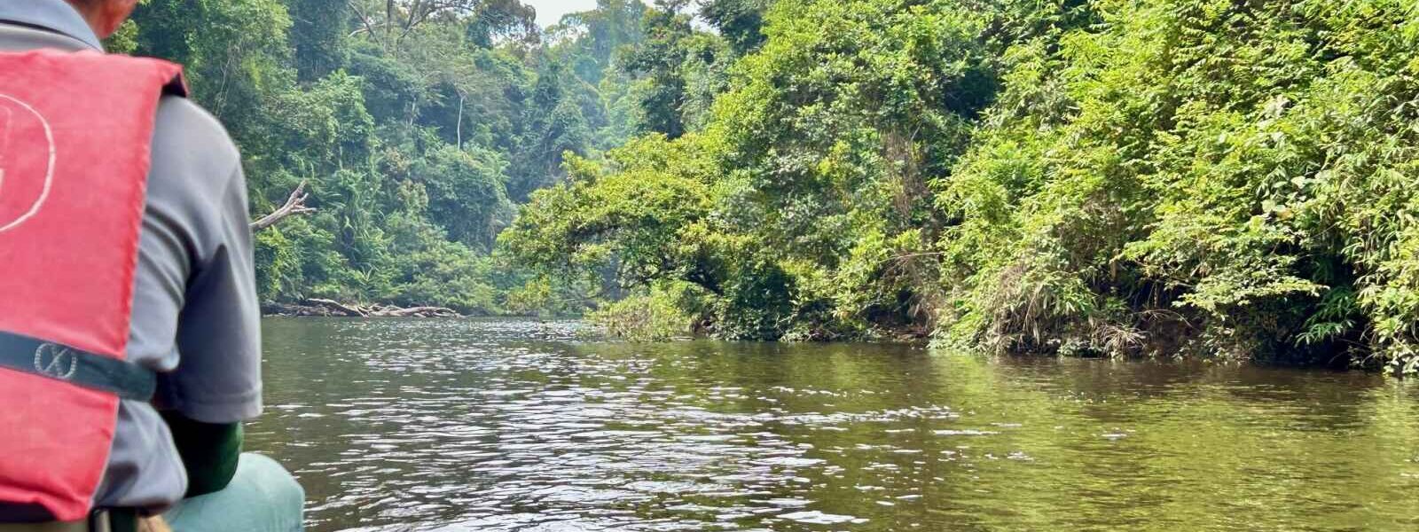 Mutiara Resort, balade en pirogue, Taman Negara, Malaisie