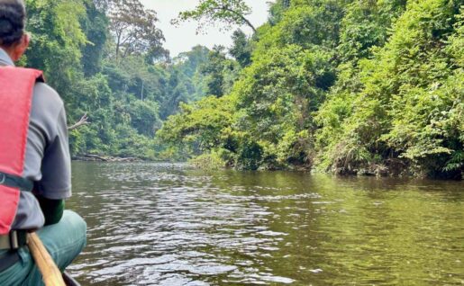 Mutiara Resort, balade en pirogue, Taman Negara, Malaisie