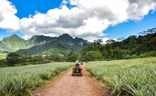 Moorea