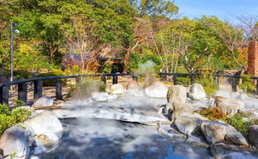 Boue bouillante à la source chaude, Beppu, Japon