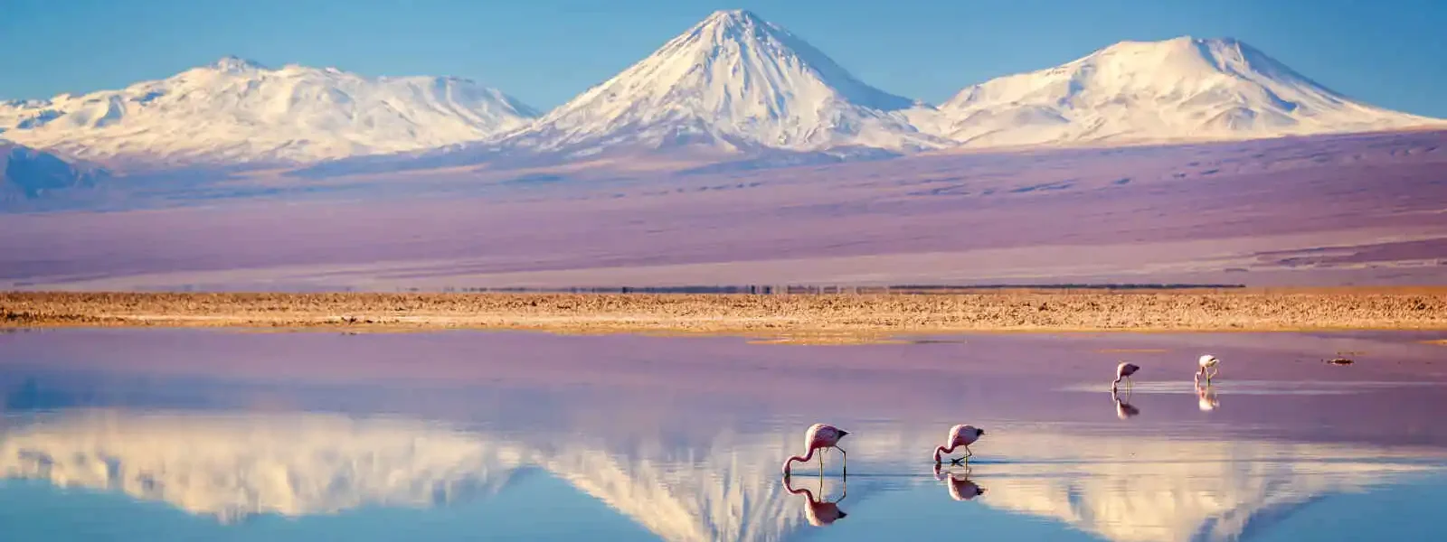 Volcan Licancabur enneigé, Andes et Laguna Chaxa, Salar d'Atacama, Chili