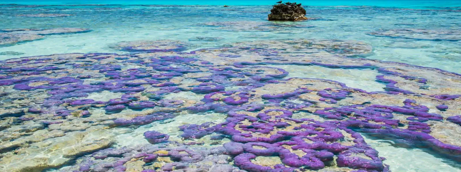 Tikehau