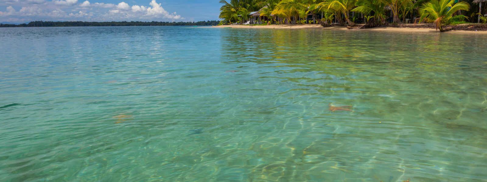 Etoile de mer, plage, Bocas del Toro, Panama