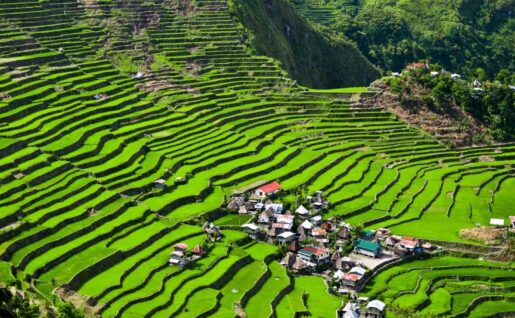 Rizières, Philippines