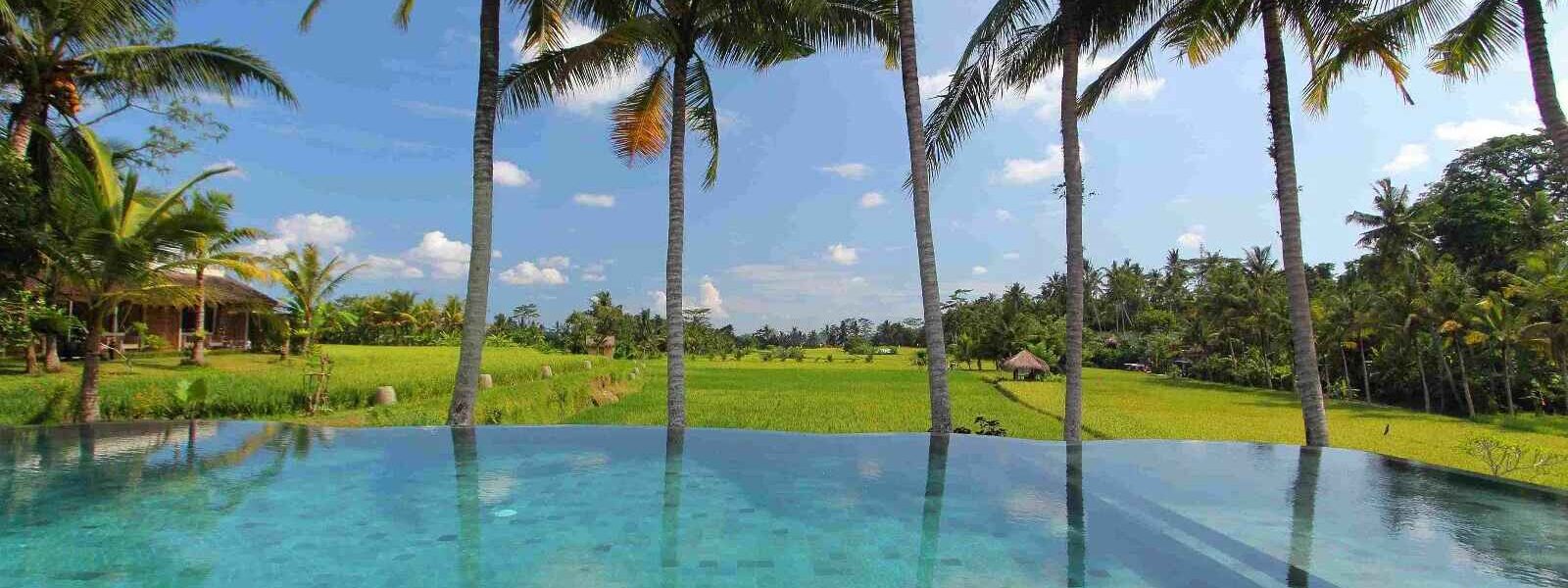 Mathis Retreat, piscine, Ubud, Bali