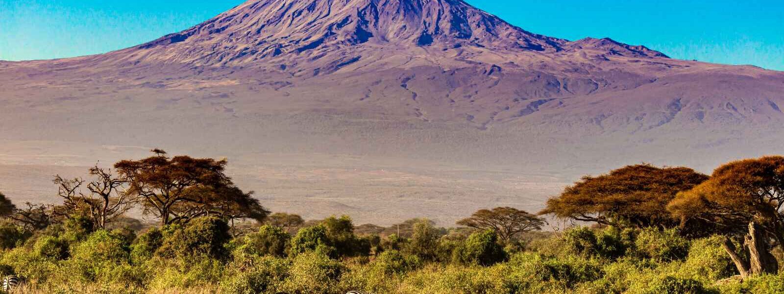 Kilimandjaro, Parc National d'Amboseli, Kenya