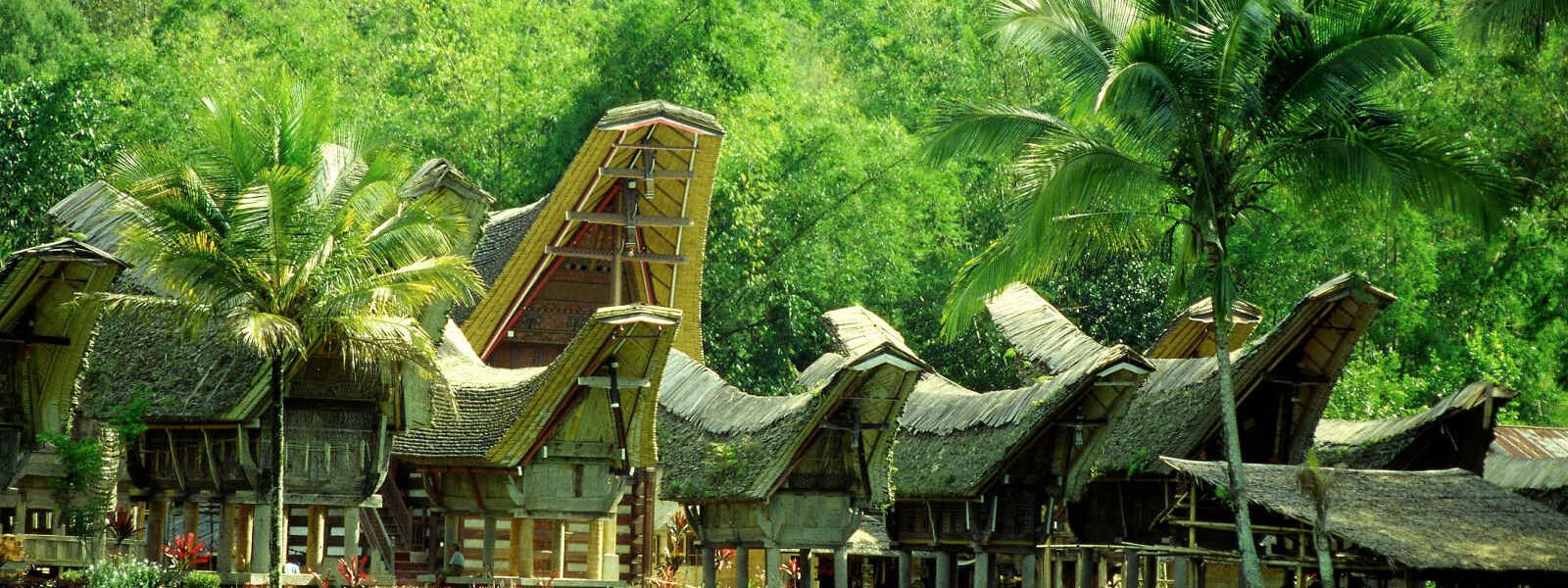 Village toraja, Célèbes, Indonésie