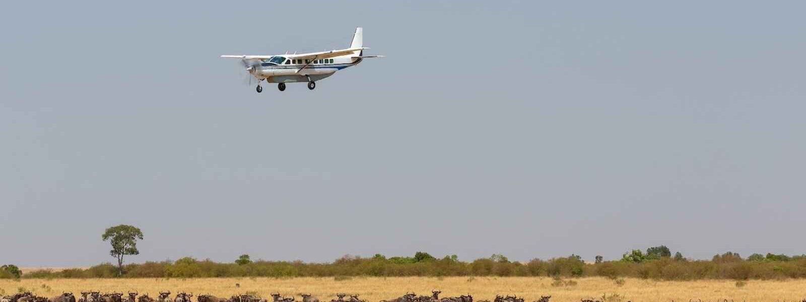 Fly-in safari, Réserve de Samburu, Kenya