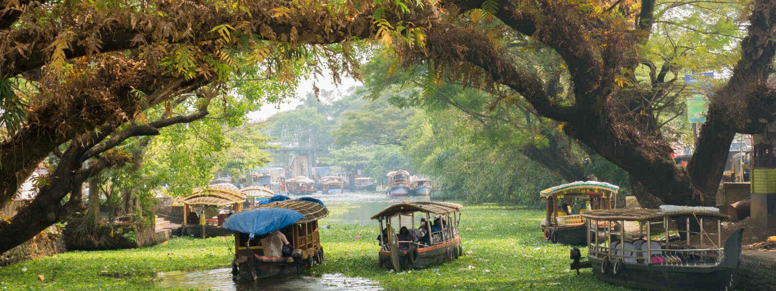 Dans les backwaters d'Alleppey, Kerala, Inde