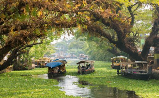 Dans les backwaters d'Alleppey, Kerala, Inde