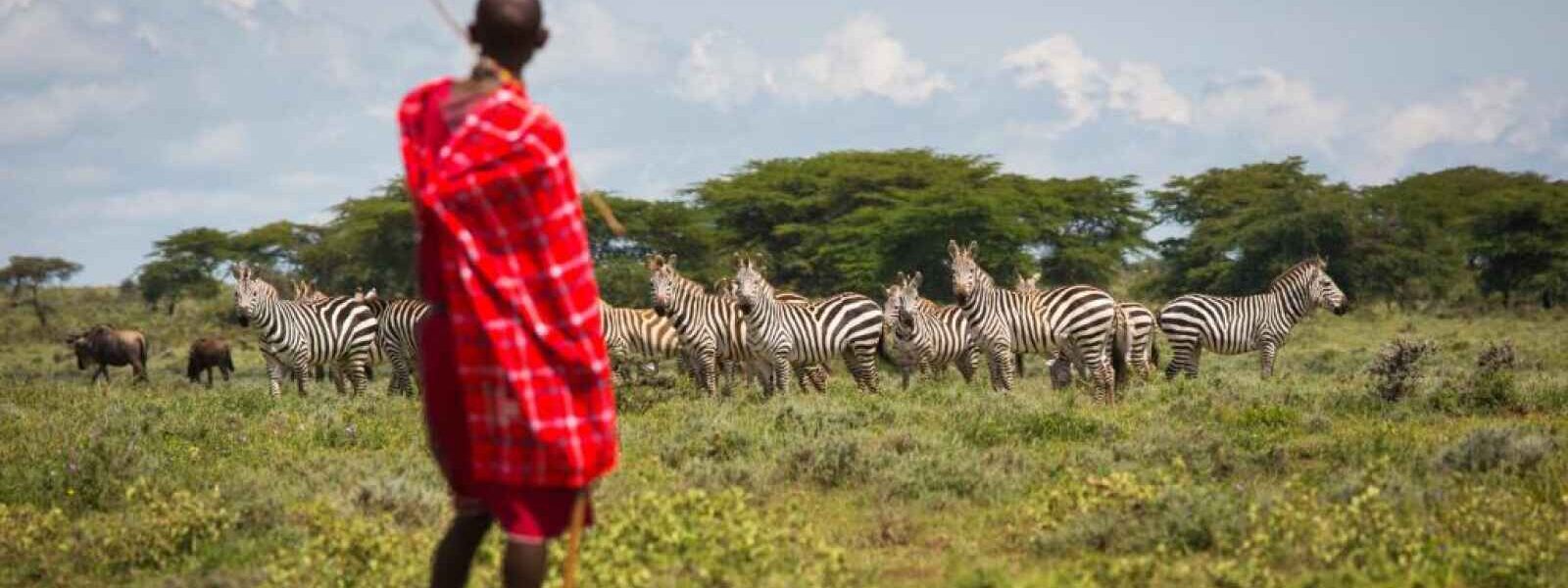 Masaï et zèbres, Maji Moto, Kenya