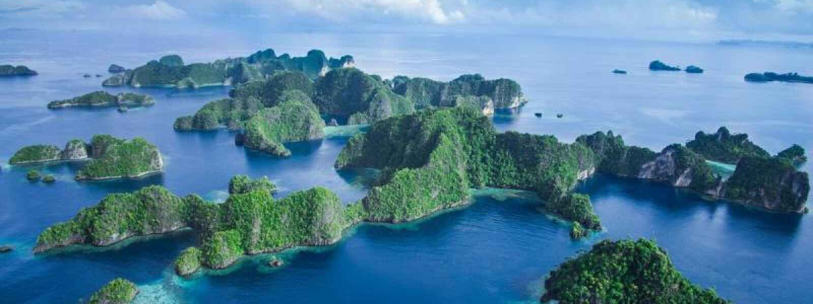 Raja Ampat Biodiversity Resort, récif, Raja Ampat, Indonésie