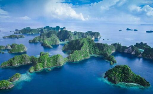 Raja Ampat Biodiversity Resort, récif, Raja Ampat, Indonésie