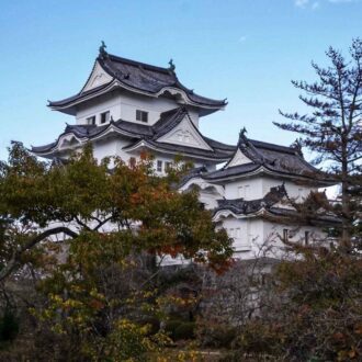 Château d'Iga-Ueno, Iga, Japon