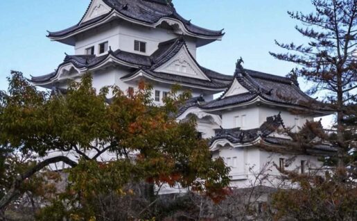 Château d'Iga-Ueno, Iga, Japon