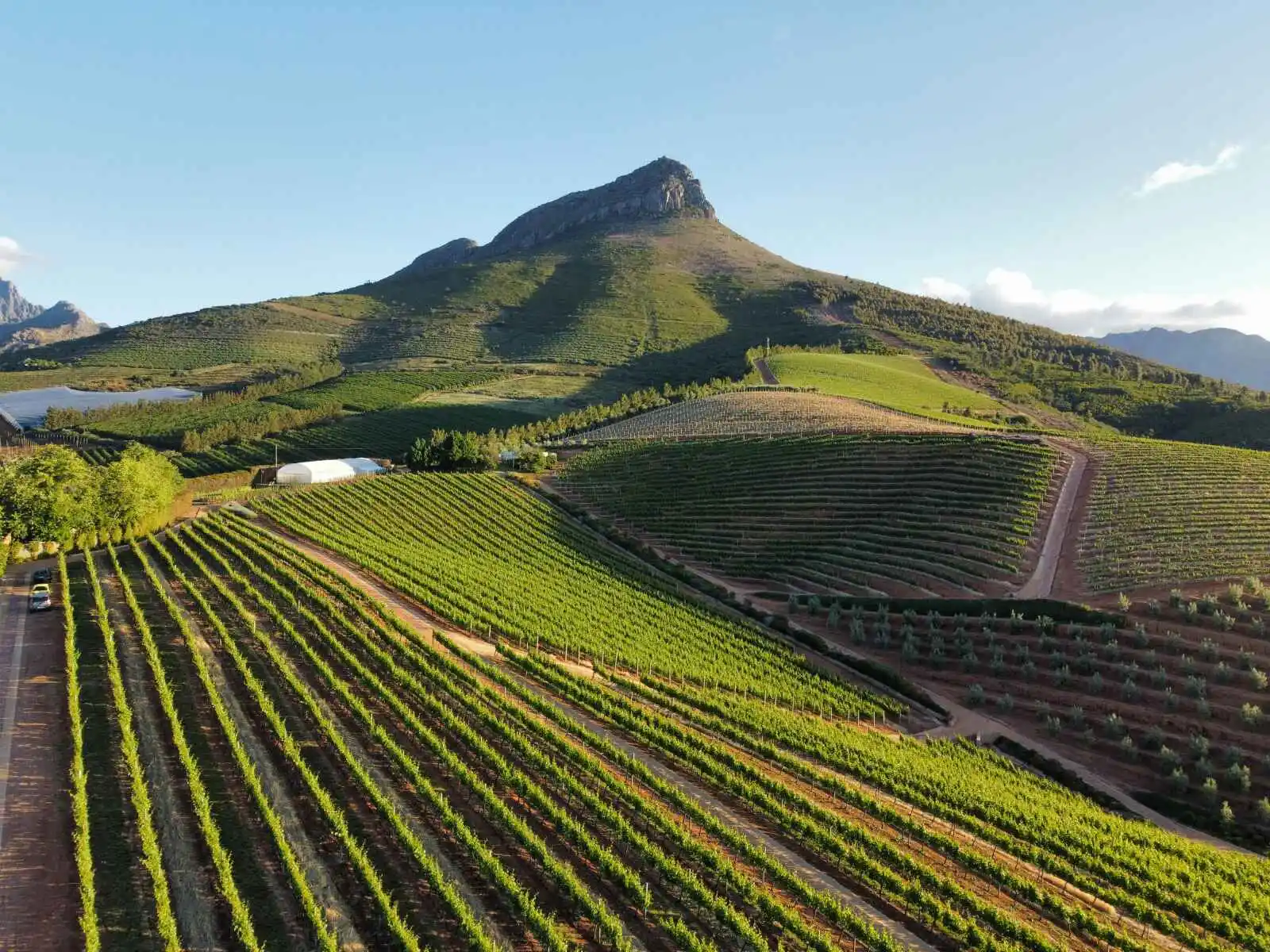 Vignobles, Stellenbosch, Afrique du Sud