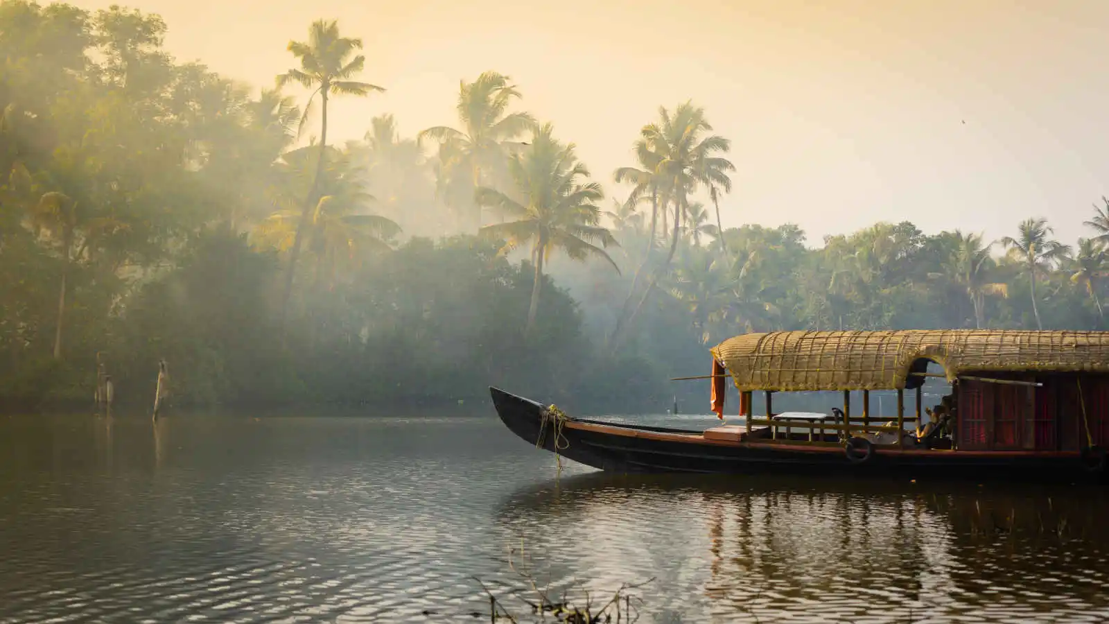 Backwaters, Kerala, Inde