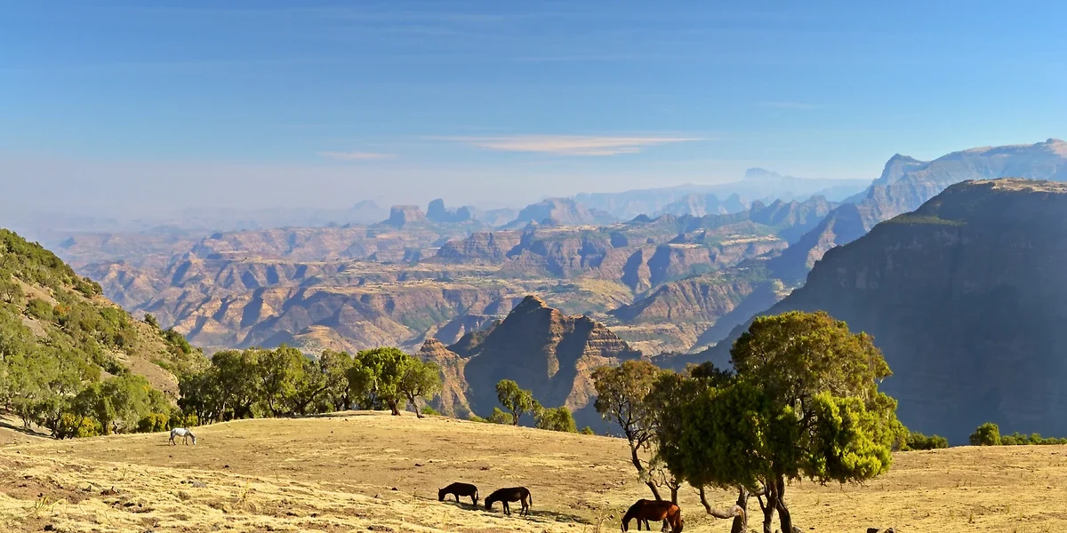 Montagnes Simien, Ehiopie