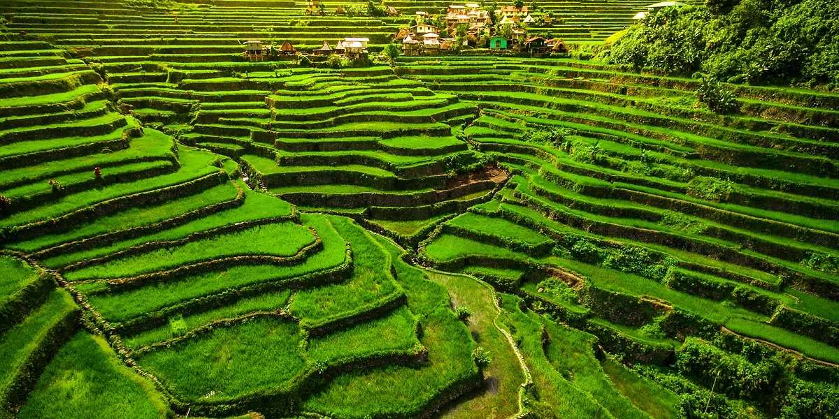Rizières de Banaue, Philippines