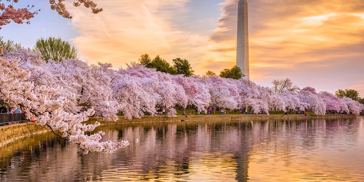 Washington DC, Etats-Unis