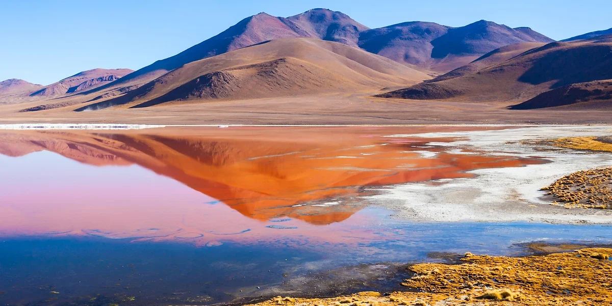 Laguna Colorada, Altiplano, Bolivie