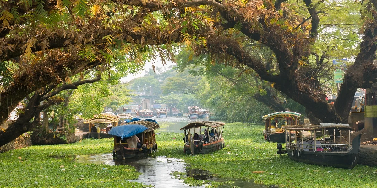 Dans les backwaters d'Alleppey, Kerala, Inde