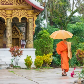 Moine à l'entrée d'un temple, Luang Prabang, Laos