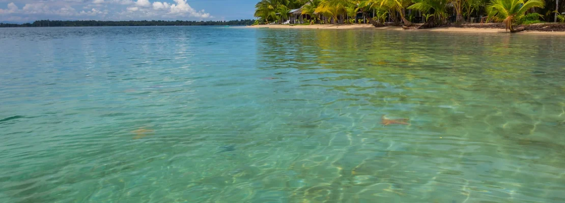 Etoile de mer, plage, Bocas del Toro, Panama