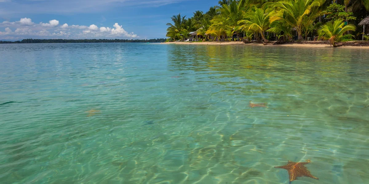 Etoile de mer, plage, Bocas del Toro, Panama
