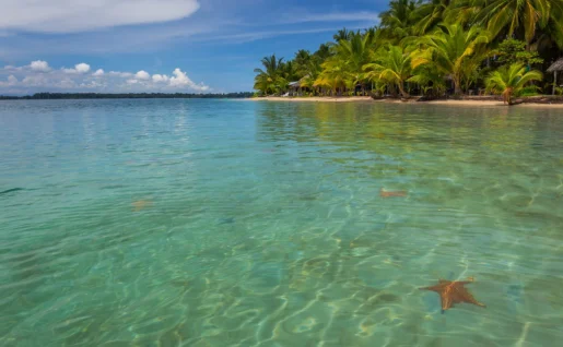 Etoile de mer, plage, Bocas del Toro, Panama