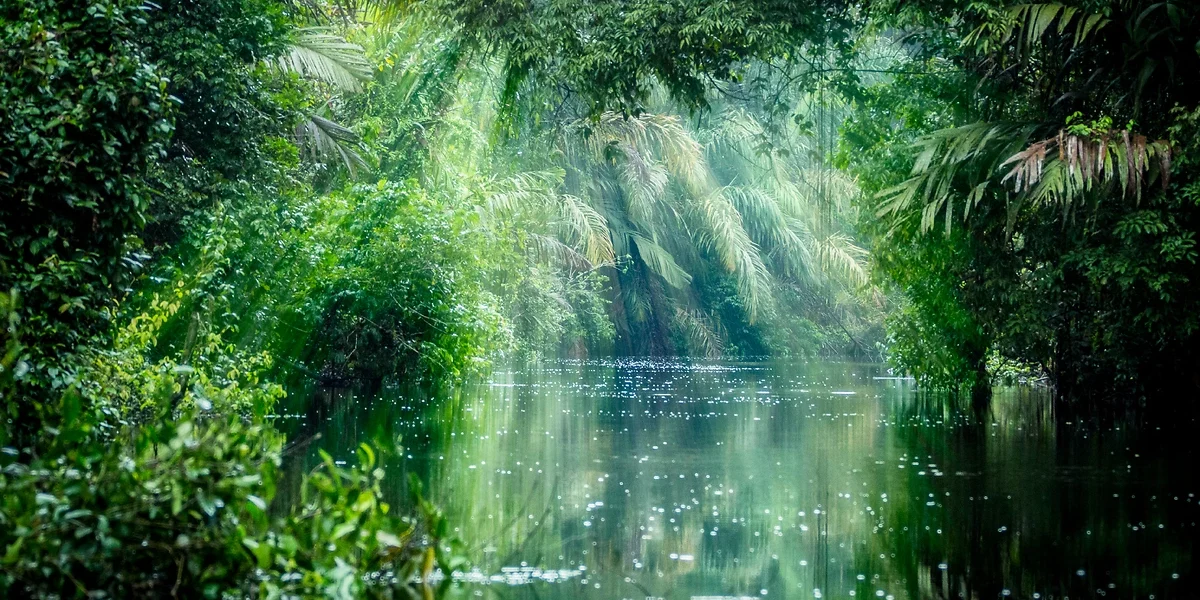 Parc national de Tortuguero, Costa Rica