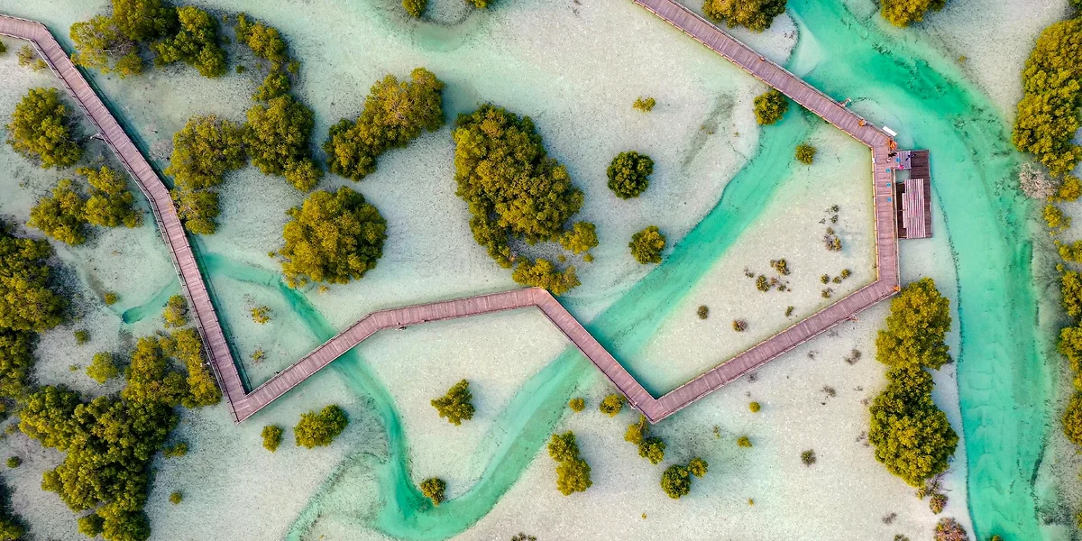 La mangrove d'Al Jubail, Abu Dhabi, Emirats Arabes Unis