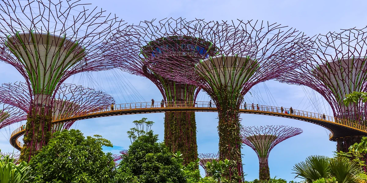 Supertrees, Parc de la baie de Singapour, Singapour