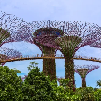 Supertrees, Parc de la baie de Singapour, Singapour