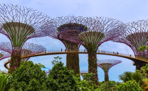 Supertrees, Parc de la baie de Singapour, Singapour