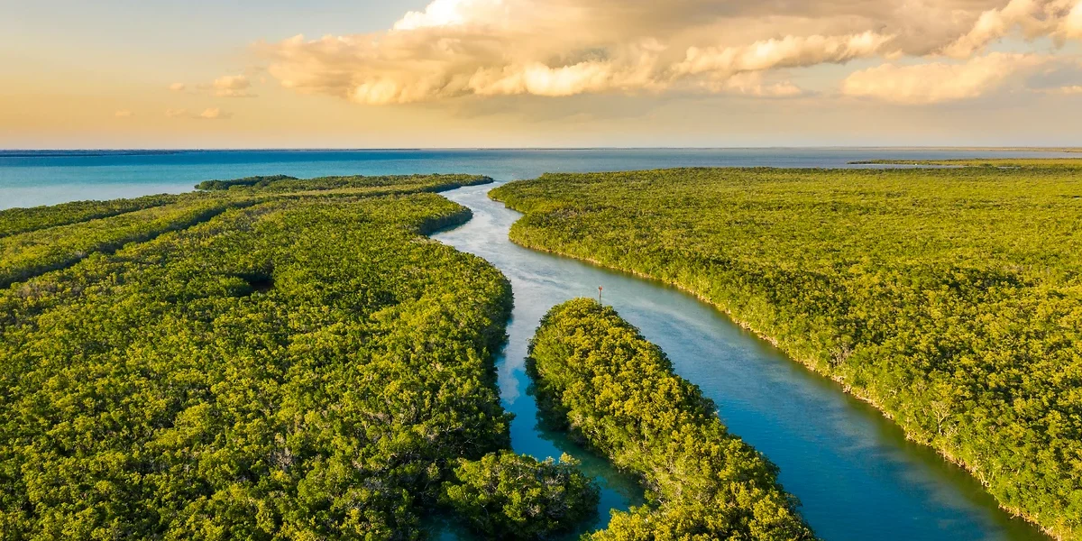 Everglades National Park, Floride, États-Unis