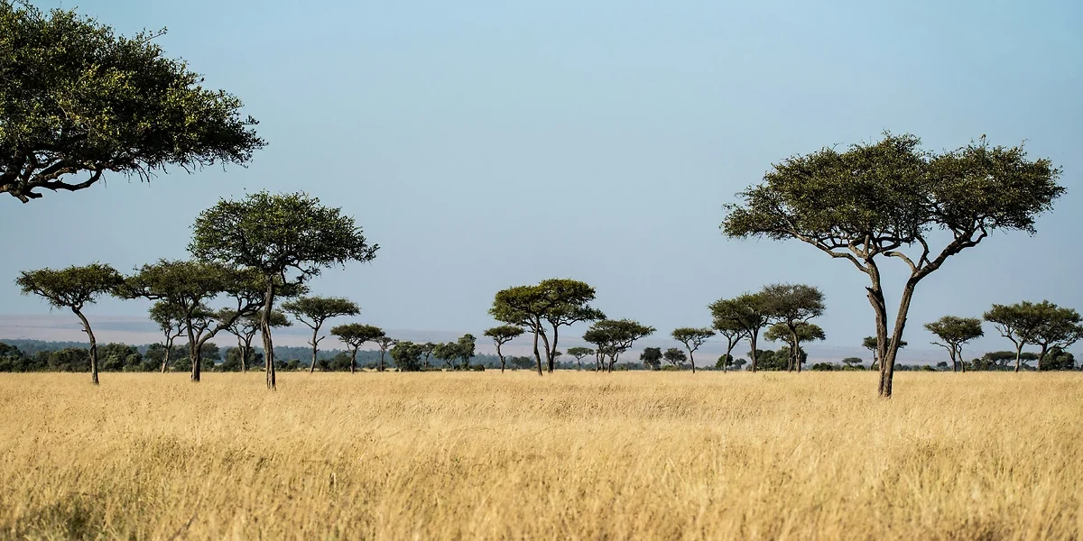 Parc National de Tarangire, Tanzanie