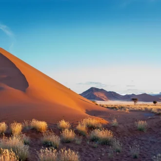 Dunes de Sossusvlei, Désert de Namib, Namibie