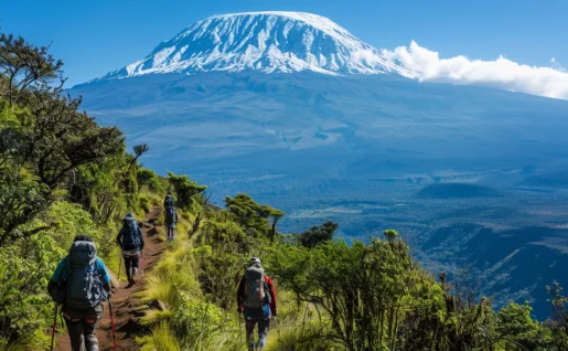 Randonnée, Kilimandjaro, Tanzanie