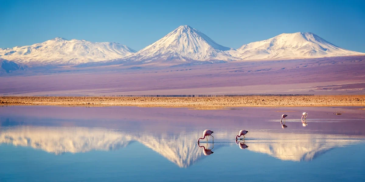 Volcan Licancabur enneigé, Andes et Laguna Chaxa, Salar d'Atacama, Chili