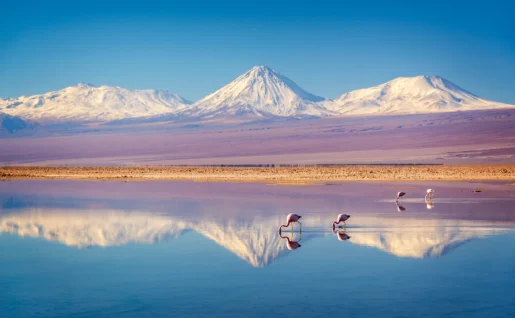 Volcan Licancabur enneigé, Andes et Laguna Chaxa, Salar d'Atacama, Chili