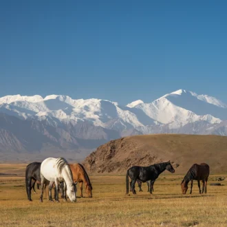 Chevaux et montagnes, Kirghizistan