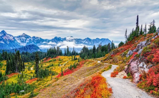 Mount Rainier National Park, Washington, Etats Unis