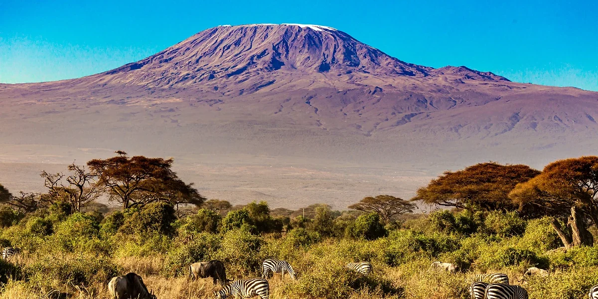 Kilimandjaro, Parc National d'Amboseli, Kenya