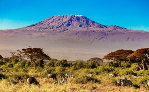 Kilimandjaro, Parc National d'Amboseli, Kenya