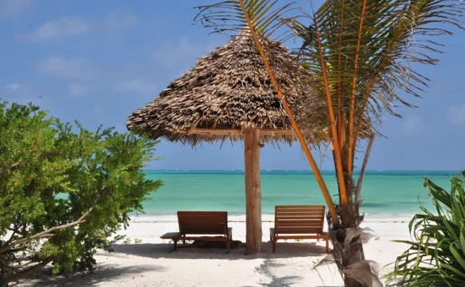 Plage, Hôtel Zanzibar White Sand Luxury Villas & Spa, Zanzibar