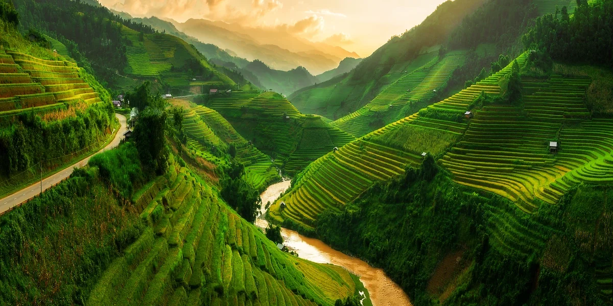 Rizières en terrasse, Vietnam