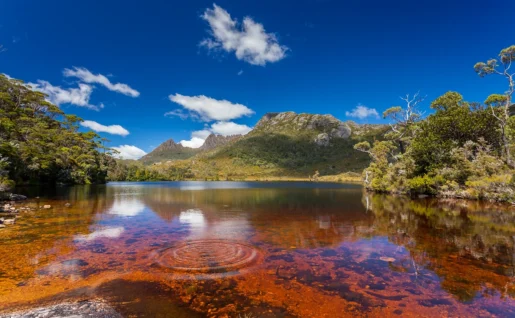 Cradle Mountain et Dove Lake, Cradle Mountain Lake St Clair National Park, Tasmanie, Australie